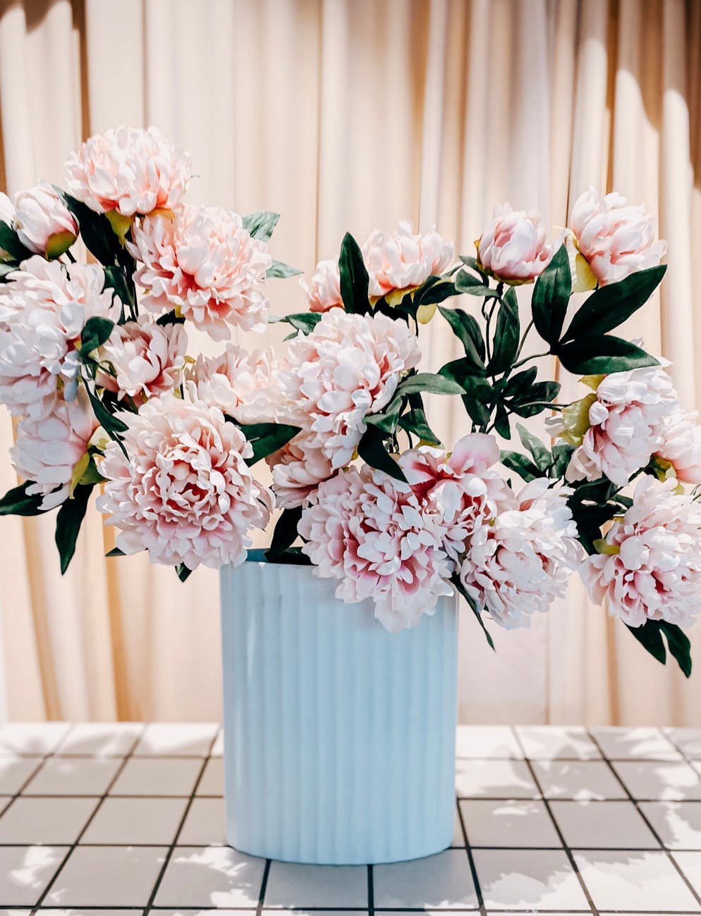 pink carnations in flowerpot